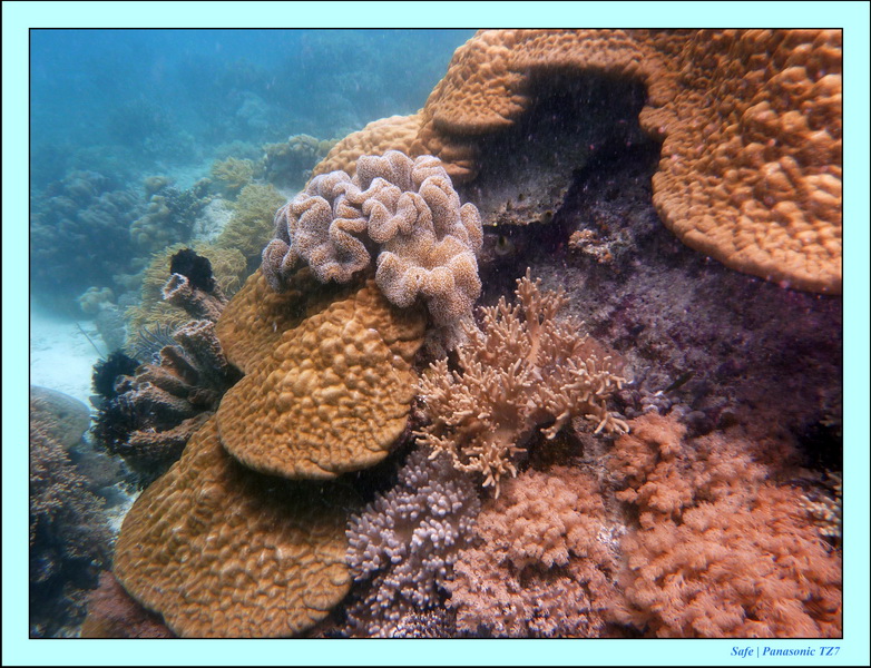 2009    07    Manatabuan 23